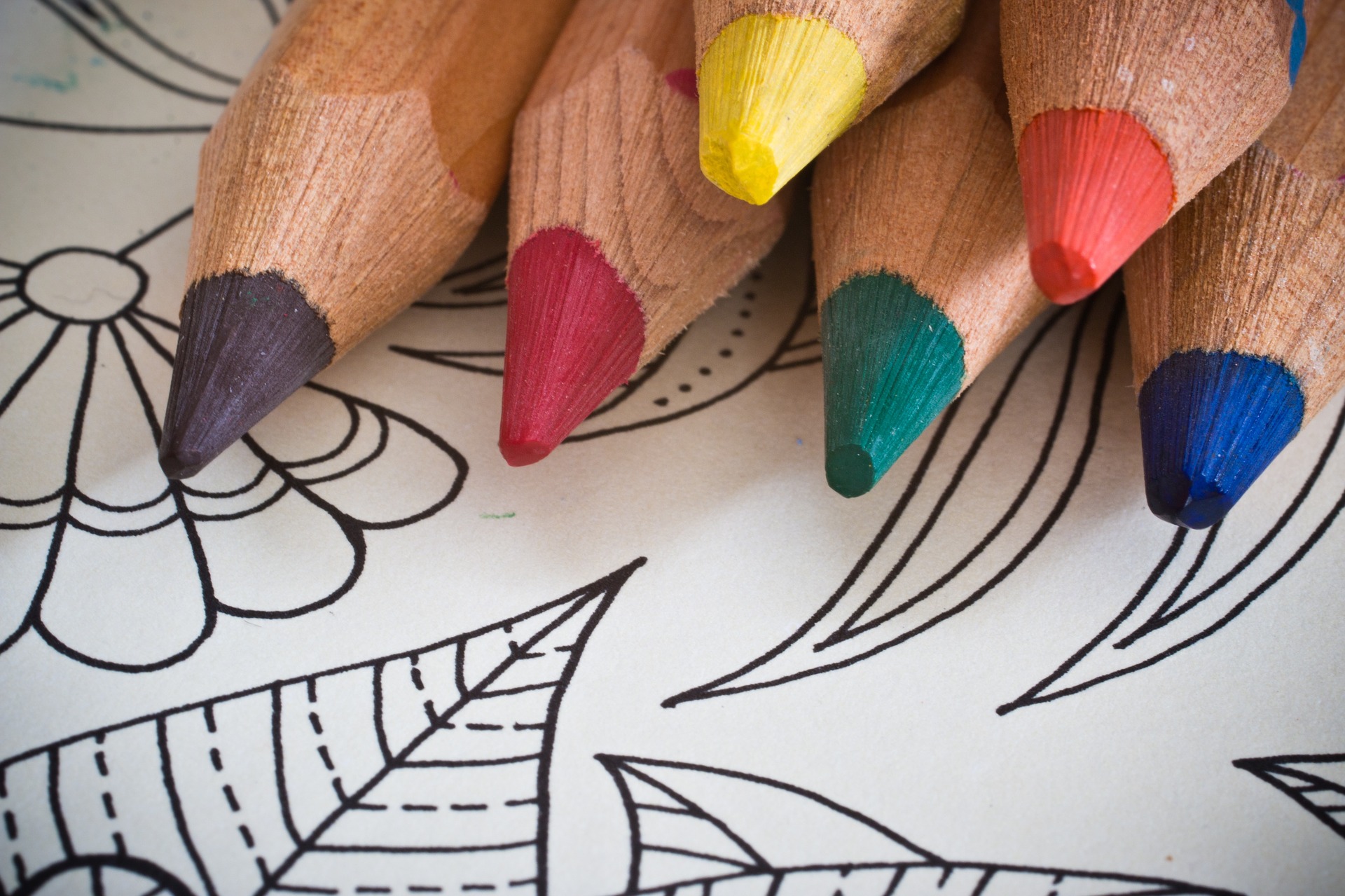 Download 5 Benefits Of Adult Colouring Motiv8 Me